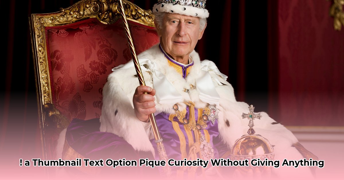 king-aminpour-net-worth